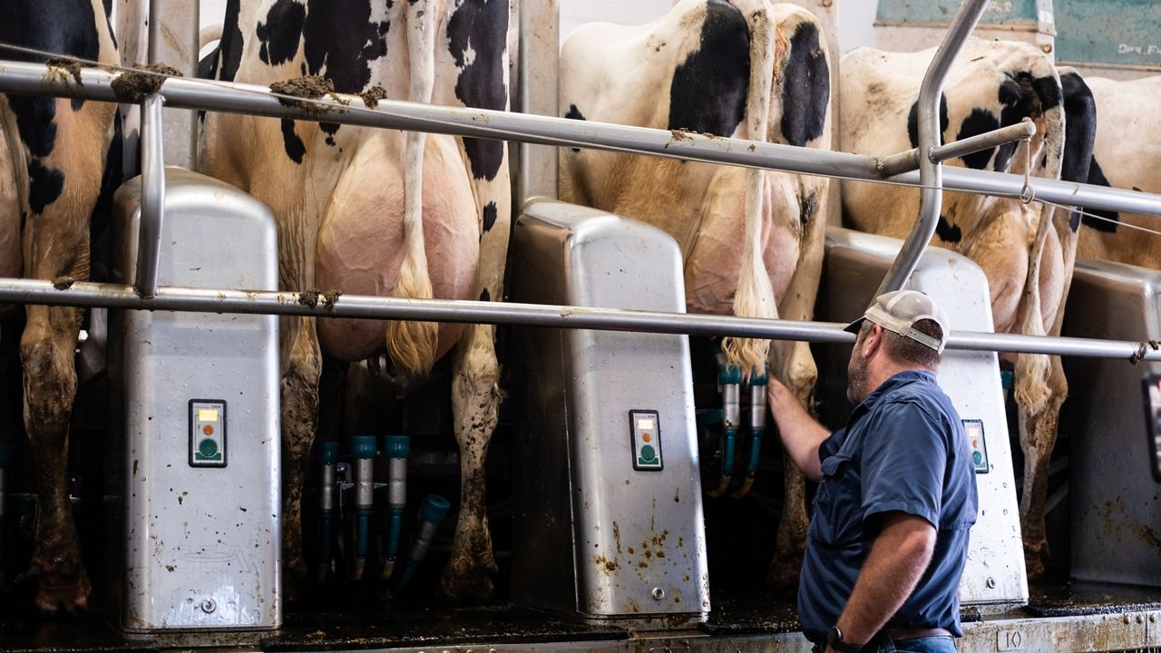 Hochul proposes support for dairy farms and ag workforce - Vimarsana News